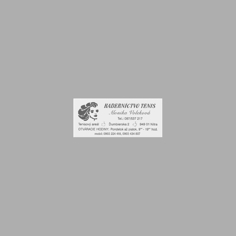 Pečiatka Colop Expert 3700, 79 x 34 mm