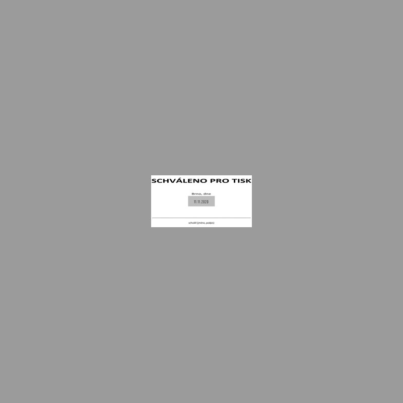 Pečiatka Colop Expert 3960, 106 x 55 mm